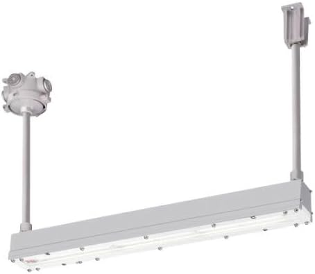 岩崎電気 安全増防爆形LED照明器具Hf32w×2灯用高出力相当 パイプ吊り EYICL2041SA9-22