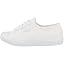 White C42