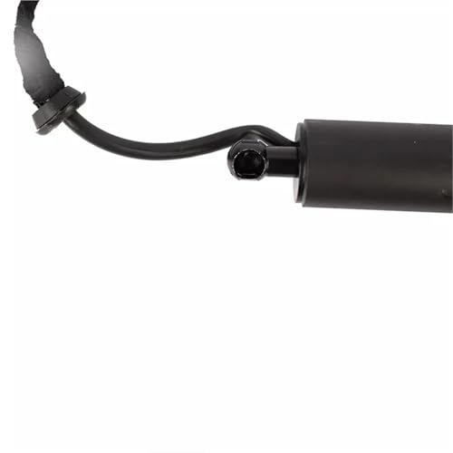 Support hayon électrique premium | Jambe de force hydraulique renforcée 81841s8100