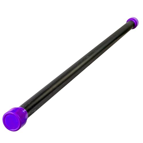 weighted workout bars