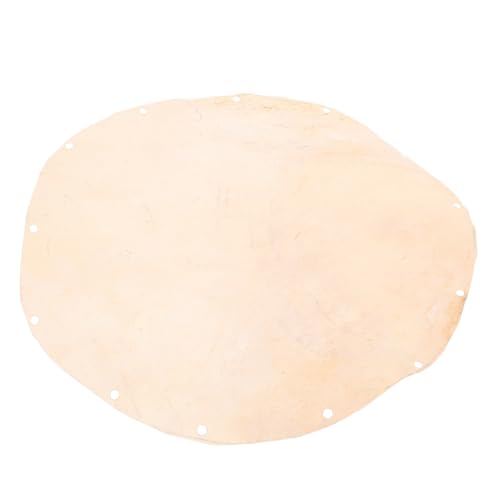 TOYANDONA AtJh phwbh 25cm Ŋyp[c t hDxbNp RU[