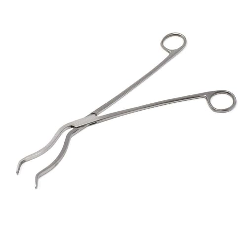 Image of GII Cheatle Forceps | Stainless Steel | For Holding Sterilized Instruments & Materials | Autoclavable | Ideal for Dental, Medical & Surgical Use