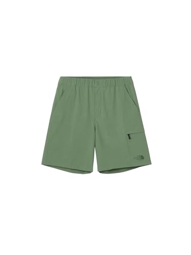 THE NORTH FACE(Um[XtFCX) V[gpc Mountain Color Short _bNO[ M