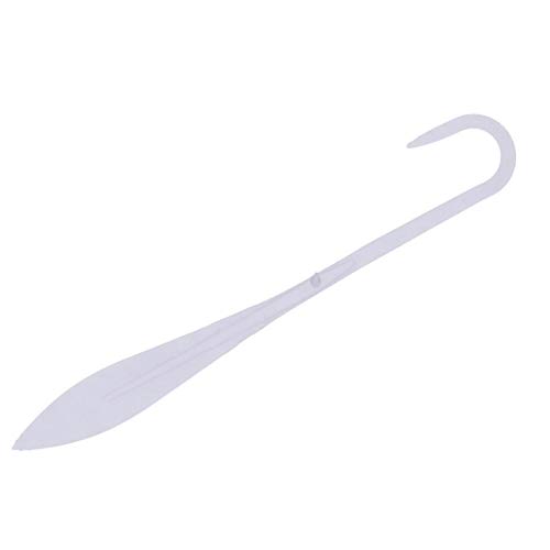 のれそれって何ソレ 透き通ったクリアカラーが際立つ稚魚の特徴や食べ方をチェック