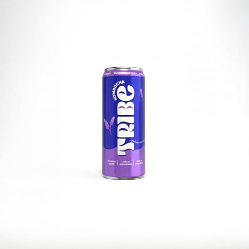 Image of Tribe Kombucha Probiotic Super Drink | Supports Gut Health | Gluten-Free | Naturally Fermented | Super Refreshing | Gut Friendly | Improves Blood Sugar | Antioxidant and Hydration | No Added Sugar | 250 ML X 6 (OG CLASSIC + ZESTY GINGERADE + BUSSIN LAVENDER)