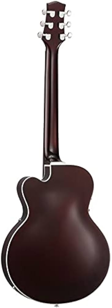 VOX GIULIETTA VGA-3D-SB Sunburst フルアコギター ボックス