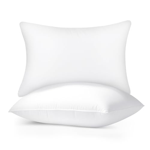 Yuexiu Pillows King Size Set of 2