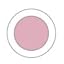 Pink Sorbet