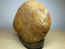 アリゾナ珪化木 1057g 珪化木 ジャスパー 碧玉 原石 鑑賞石 水石 化石 アリゾナ珪化木 1057g 珪化木 ジャスパー 碧玉 原石 鑑賞石 水石