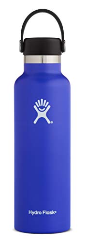 Hydro Flask Standard Mouth Water Bottle, Flex Cap - 21 oz, Blueberry