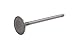 NewYall Pack of 10 Engine Intake Valves Intervalve