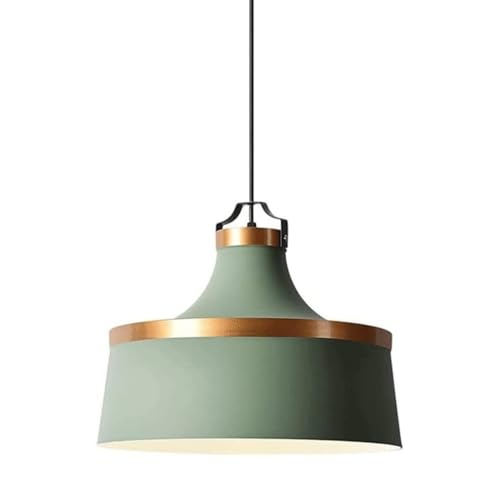 Luz colgante de granja para comedor y cocina con sombra de color acogedora