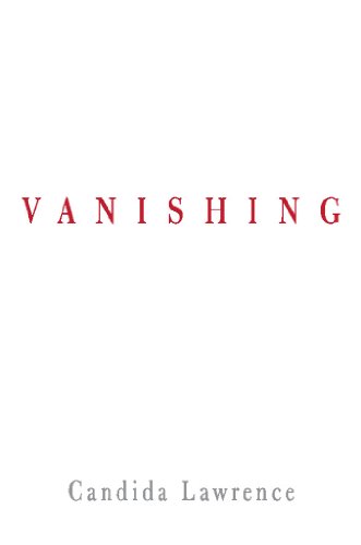 Vanishing view 2