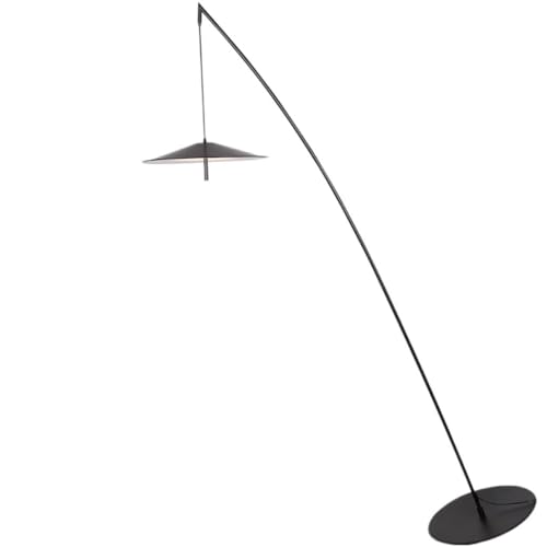 Lampe sur pied LED avec interrupteur au pied pratique en fer
