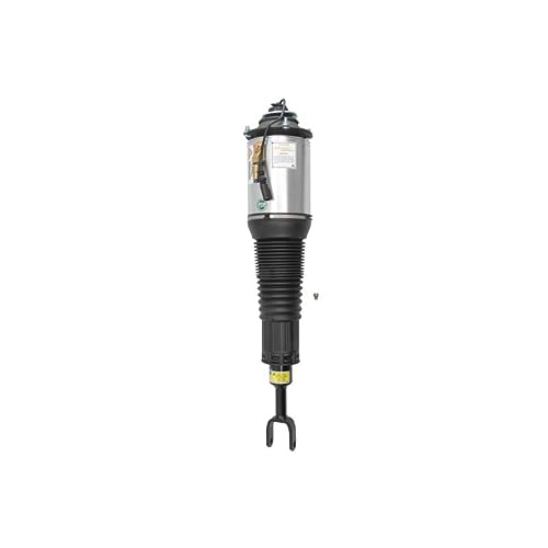 AS-2892 Arnott AS-2580 Ammortizzatore pneumatico anteriore Dx