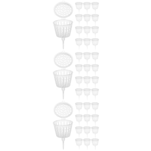 Abono Bonsai Sólido Marca Toddmomy