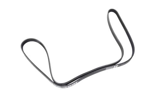 Courroie striée GM Original Equipment ACDelco 12654488 anti-patinage