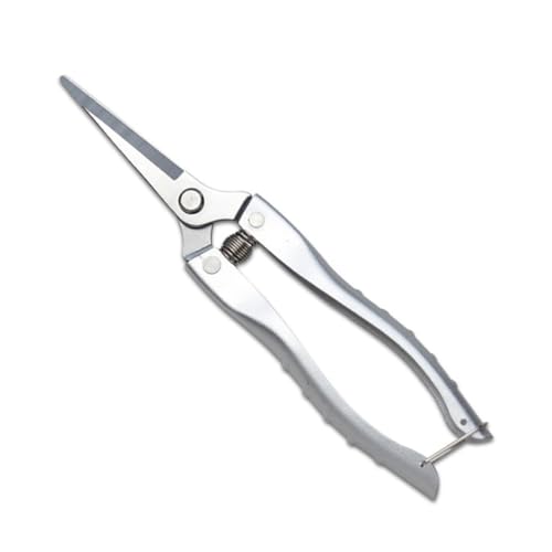 GARIOUANS |pXeXC} ΂ yʂŊ炩Ȑ؂ꖡ }⏬؂̙ K[fjO͂