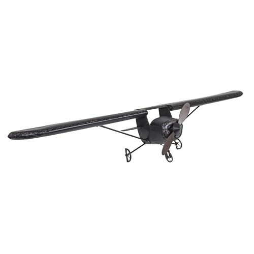 Creative Co-Op Metal Plane Wall Décor