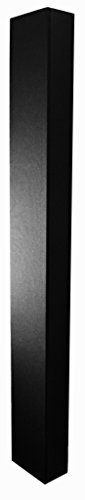 Preisvergleich Produktbild NEC SP-65SM Lautsprecher für MultiSync V652 / -TM