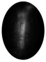 Natural Shaligram Shila Saalagram 62 Gram