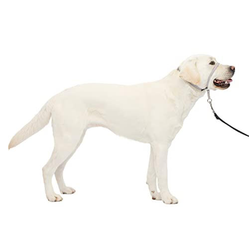 Petsafe Gentle Leader No-Pull Dog Headcollar - The Ultimate Solution To Pulling - Redirects Your Dog's Pulling For Easier Walks - Helps You Regain Control - Large, Silver #TOP20