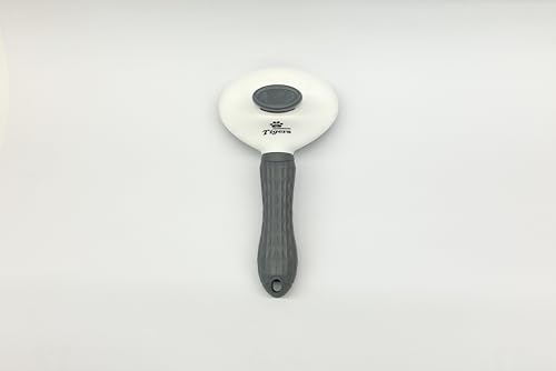 _^CK[X ubVO uV ^CK[Xybg TBB-A519  NV wA uV ybg L Lbg ˂ lR  hbN  Ck  Aj} v[g j Mtg