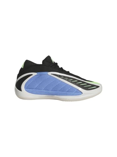 [�A�f�B�_�X] ANTHONYEDWARDS2 25.0CM �u���[�t���[�W����/�[�����^���b�N/���C���o�[�X�g