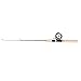 Ice Fishing Rod Reel Combo 75cm Winter Fishing Pole for Fathers Sons Husbands Boyfriends