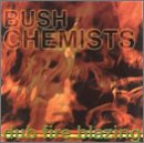 Dub Fire Blazing