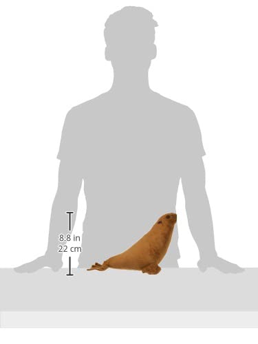 Amazon.co.jp: アシカ NEW Mサイズ ぬいぐるみ : おもちゃ