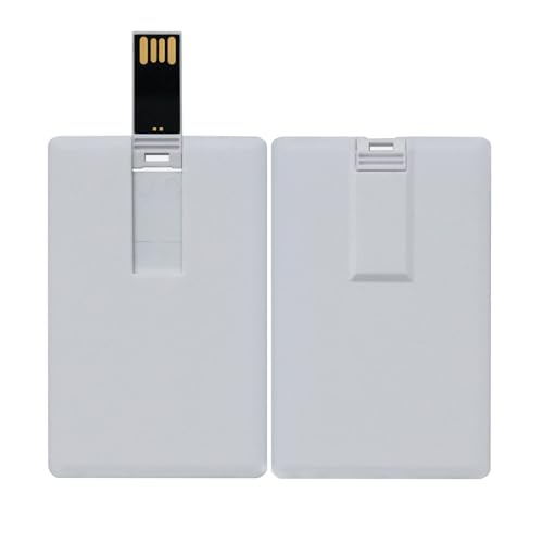 lcwamy 2GB Credit Card Cheap Flash Drive 2GB Card Shape USB Flash Drive USB Memory Stick Thumb Drive USB Stick(1PC)