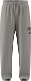 Cordon de serrage adidas Herren Collegiate Pants, Wonder Alumina/Dark Blue, 3XL