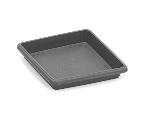 Tildenet Gardenware FPSQS18-A - Platillo cuadrado para macetas de jardín, 18 cm, color antracita