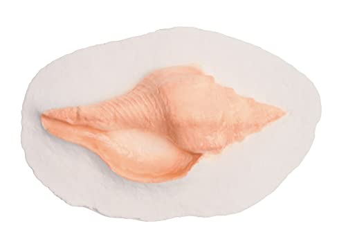 Biodegradable Urn for Human Ashes, Water Burial, Floats in Water, for Cremation, Ocean Scattering, Earth Memorials (Keepsake Elite® ShellY-03)