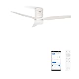 CREATE / WINDCALM PATIO/Ventilador de techo para exteriores con luz blanco con Wifi y mando i/Silencioso, motor DC, 6 velocidades, temporizador de 1 a 4h, 3 temperaturas de luz, 40W, Ø132 cm