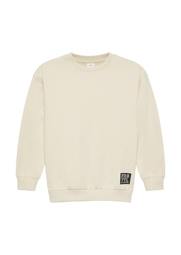 S.Oliver Junior Jungen 2160639 Pullover, 0805, 164 EU