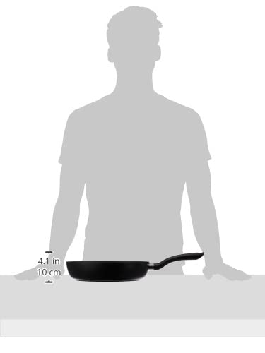 Amazon.com: Fissler 045-300-28-100 Senit Frying Pan, 11.0