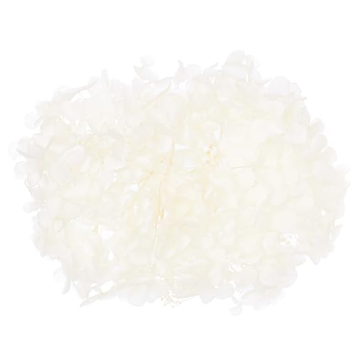 The Baked Studio - Original Dried Flower Hydrangea Set For Cake & Cupcake Decorating & Others Crafts (White)