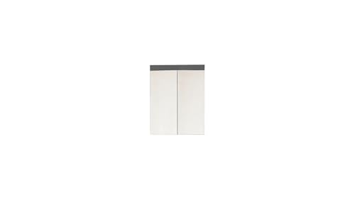 trendteam smart living Armoire Murale de Miroir de Salle de Bains avec Espace de Rangement, Gris Brillant, 60 x 77 x 103 cm
