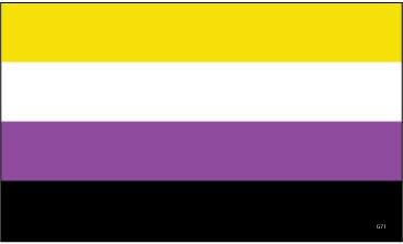 Non Binary Pride Flag Decal - 3 x 5 inch Bumper Sticker - Professionally Made in USA - Vinyl Decal