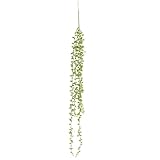 Pas besoin de l'élagage et de l'arrosage pour les personnes occupées mais qui veulent profiter de beaucoup de verdure dans le bureau / salle de réunion sans plantes sur la table ou les plantes avec un sol