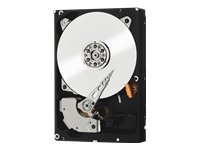 WD RE WD3000FYYZ - Hard drive - 3 TB - internal - 3.5 - SATA-600 - 7200 rpm - buffer: 64 MB