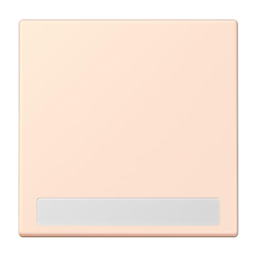 Jung Touche Simple LC32082 pour réparer un interrupteur