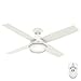 Hunter Indoor / Outdoor Ceiling Fan with light and remote control - Dempsey 52 inch, White, 59252
