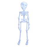 ZoraYorce Ganzkörper Skelettkühlschrankmagnete poabable Skelett Kühlschrank Magnet (Seiden weiß)