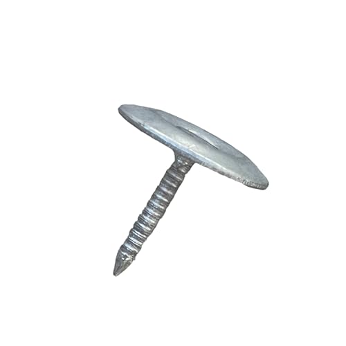 Sandbaggy 1" Metal Cap Fluted Masonry Nails - Electro Galvanized Steel (appx. 75 nails/lb) - Cement, Brick, Concrete Nails (1, Pounds)