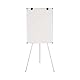 Bi-Office Earth Kyoto Dreibein-Flipchart, Magnetisches Flipchart, 70 x 100 cm (Euro-Größe), trocken abwischbare lackierte Stahloberfläche, Aluminiumrahmen