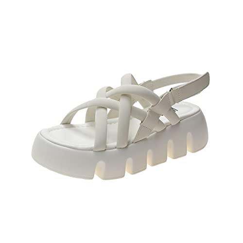 Ladies Sandals Athleisure Edition Platform Shoes Outdoor Beach Soft Sole Comfort Shoes(OneColor,40)