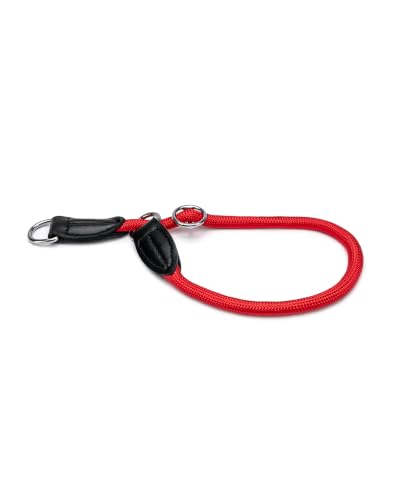 lionto Collare per Cani Collare Retriever Collare da addestramento, Lunghezza 50 cm Rosso